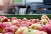 apples supply chain lorry distribution fruit fresh getty