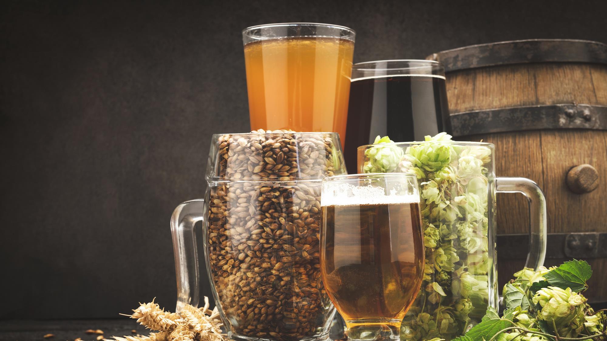 Climate change threatens beer how rising temperatures transform taste and pose commercial risks