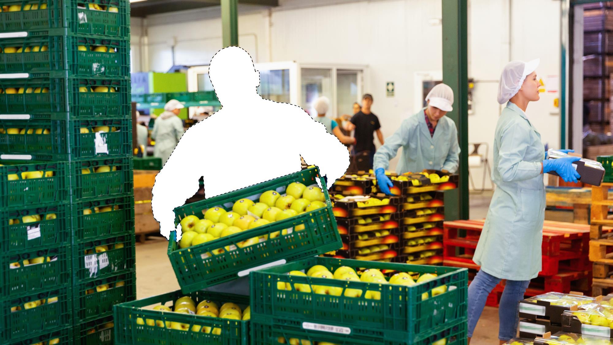 How to unlock the next generation of food workers | Analysis & Features ...
