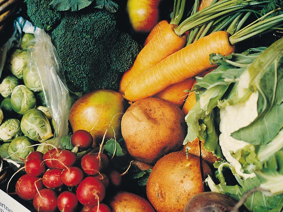 imported produce