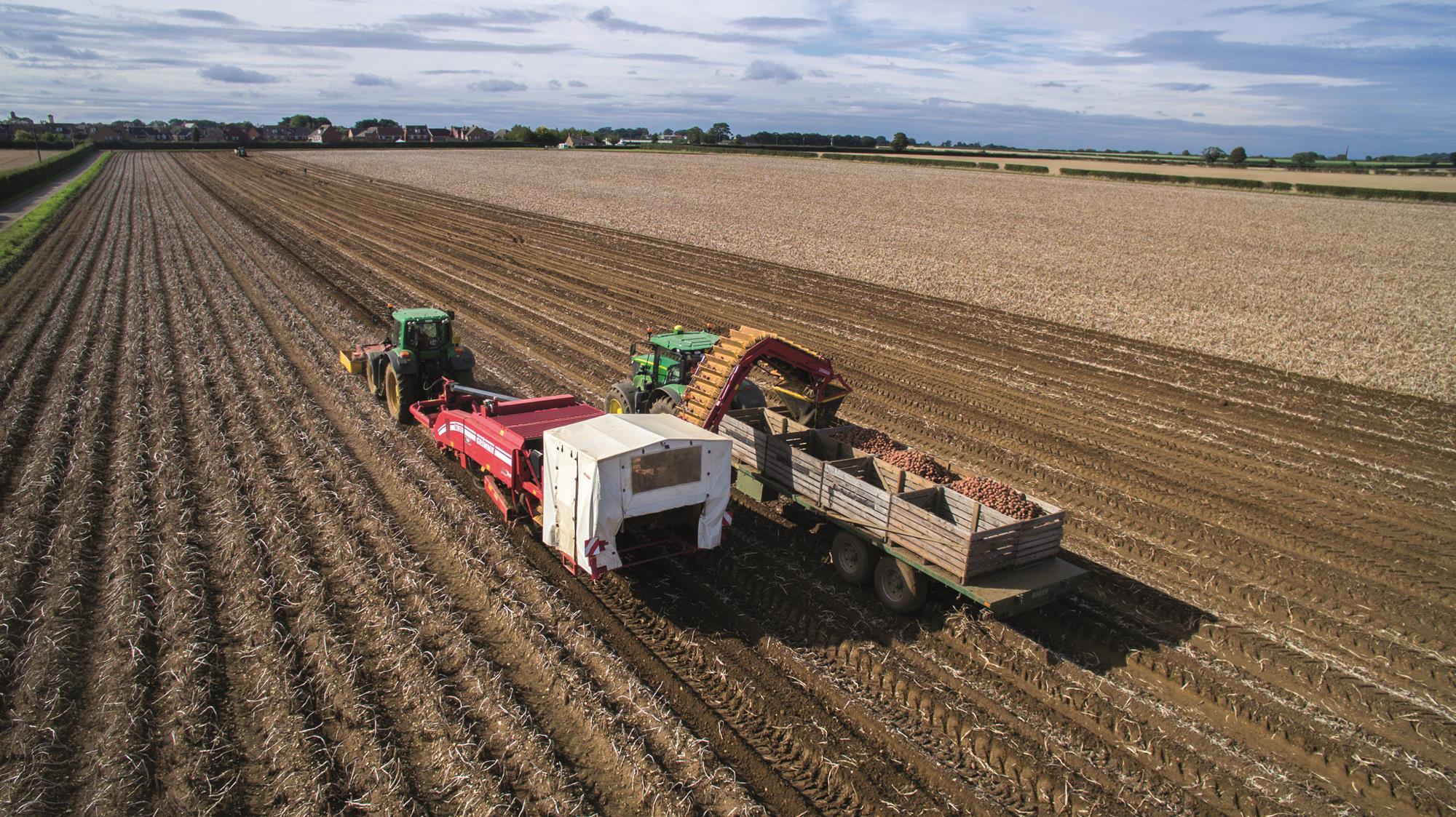 How Tesco works with suppliers Promotional Feature The Grocer