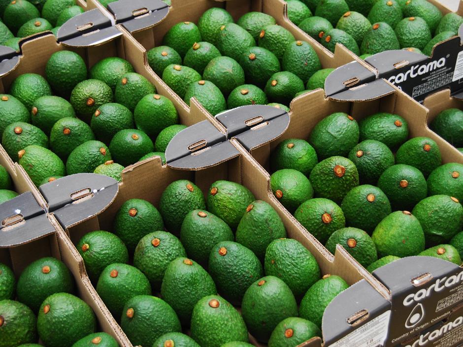 Avocado sales up 184 over past five years News The Grocer