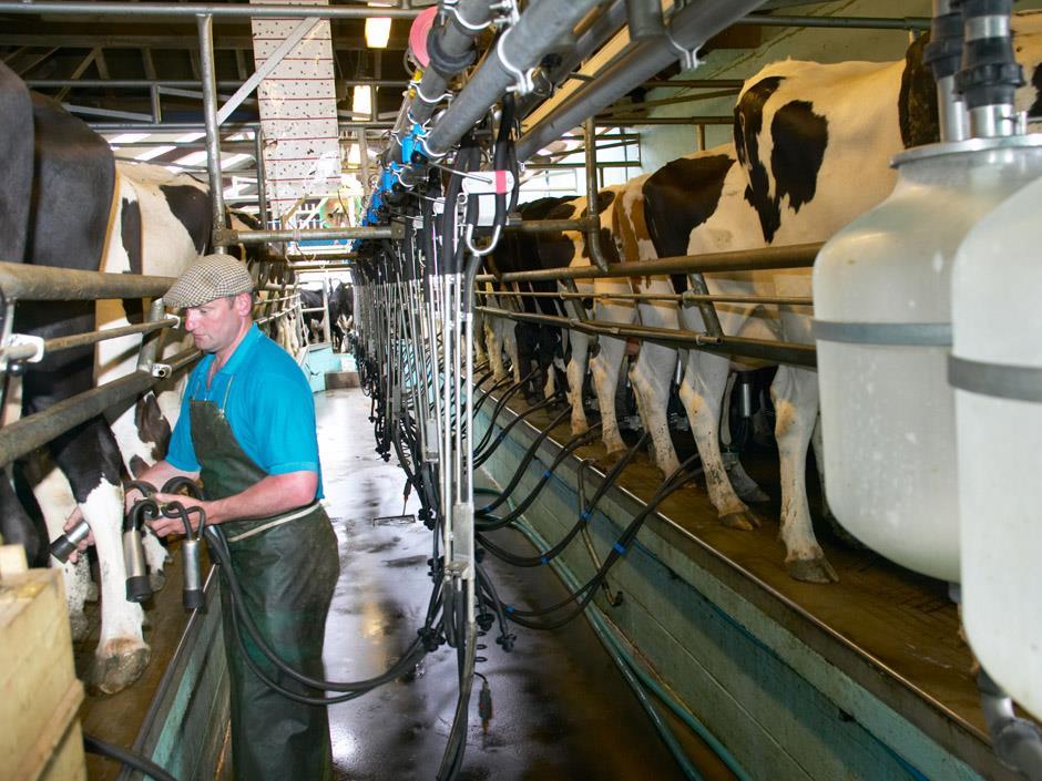 Average farmgate milk price back to 2014 levels News The Grocer