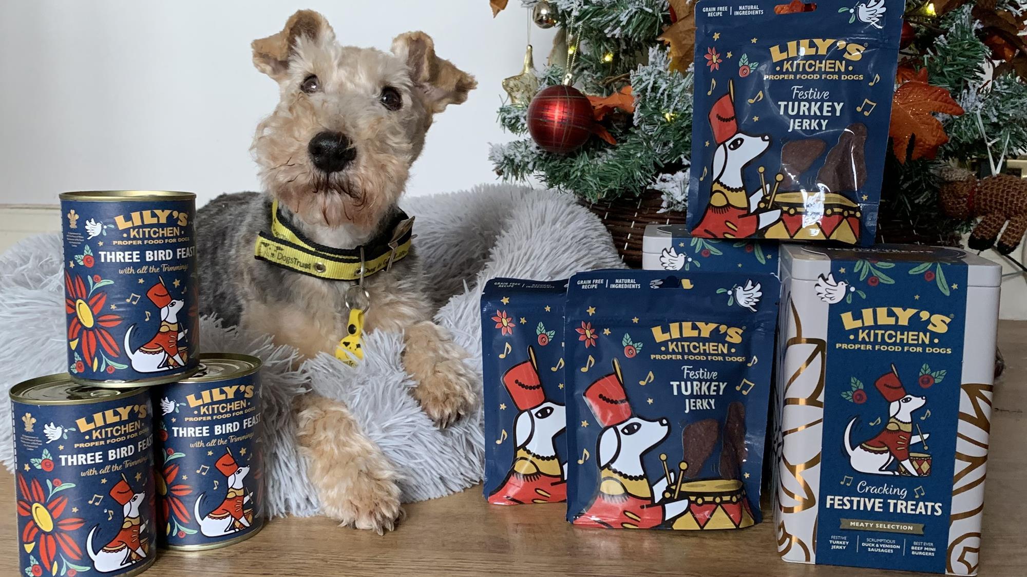 Pets at home lily's kitchen outlet