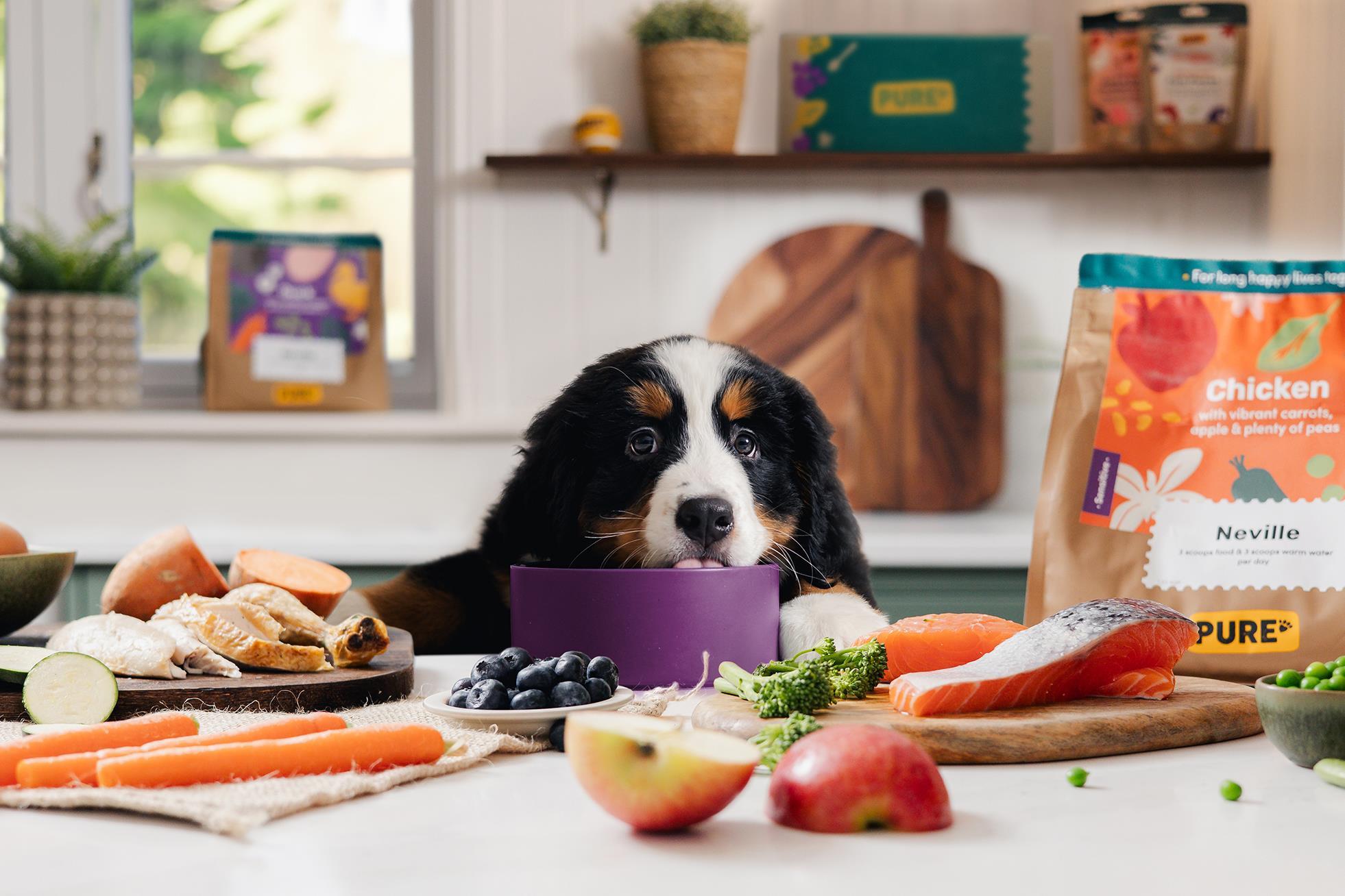 Pure Pet Food fetches 15m backing to support growth News The Grocer