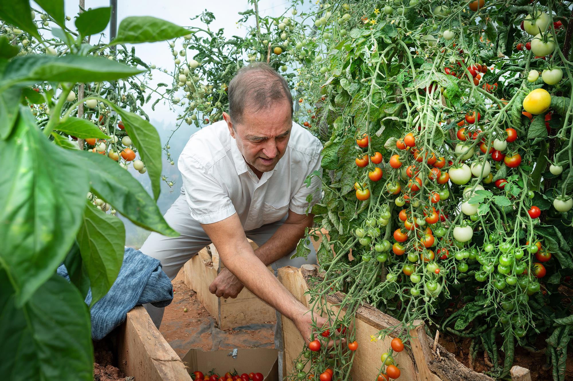 The Rise of Organic: Celebrating Remarkable Growth and Innovation in the Food Industry