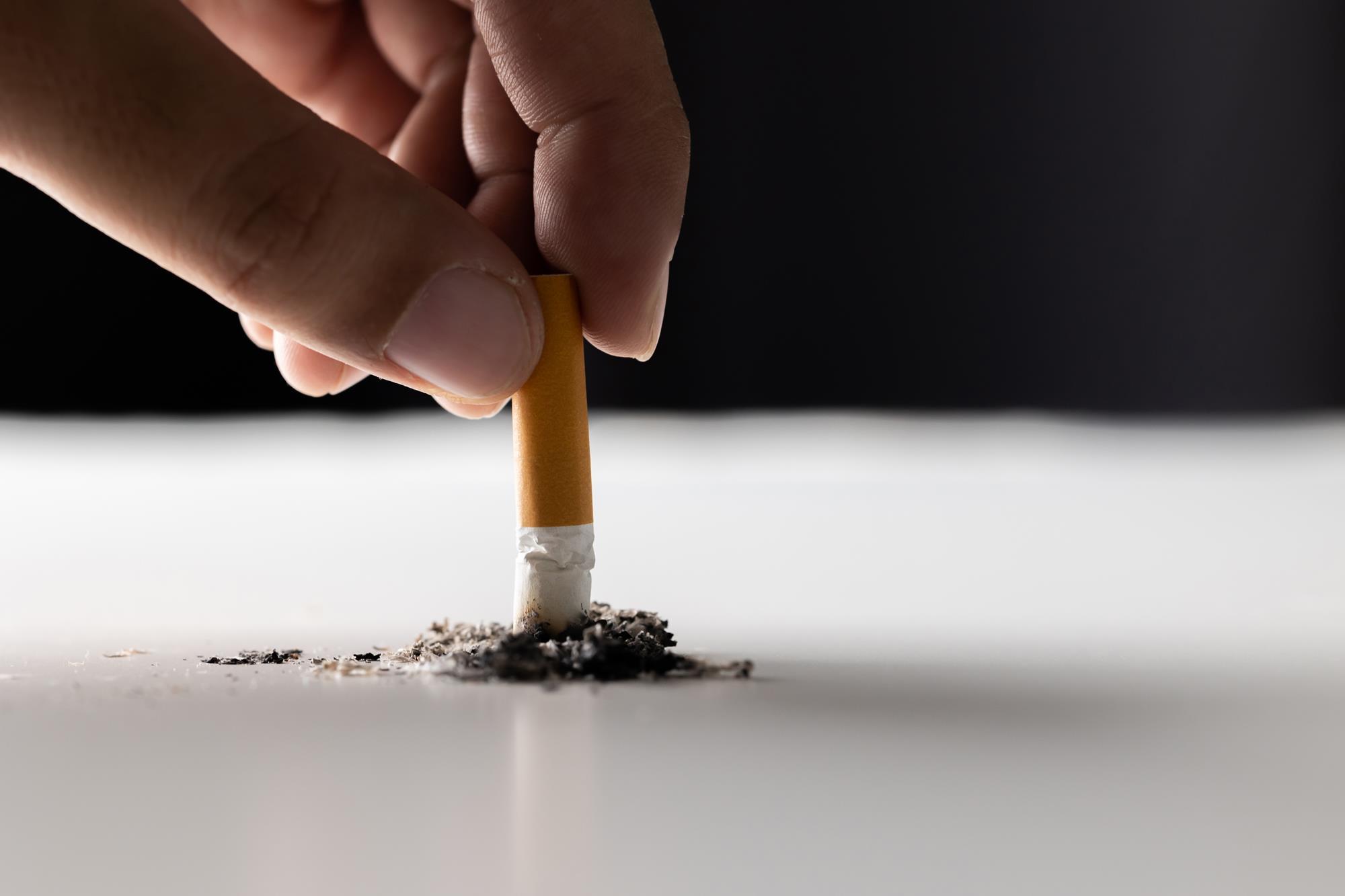 alternative to tobacco in joints Amazon.com: Drag-Mint