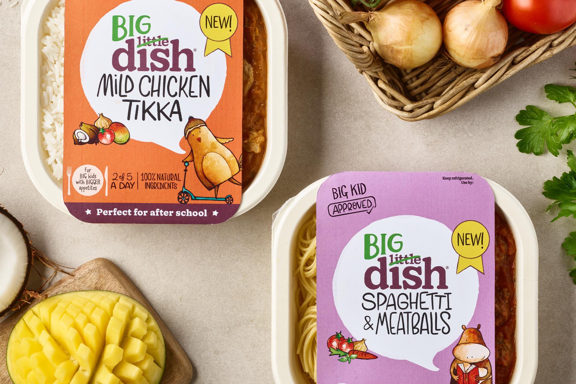 Big dish discount