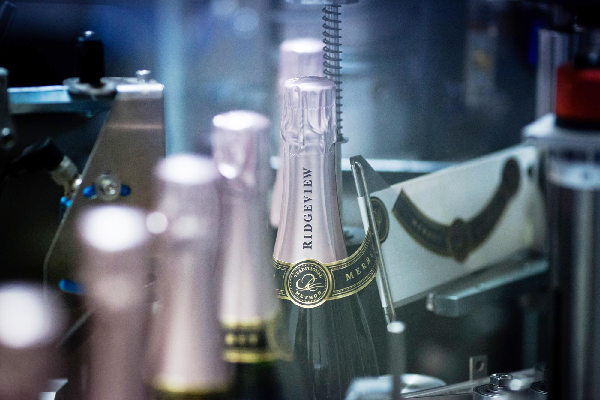Power list: the champions of English wine | Profiles and Q&As | The Grocer