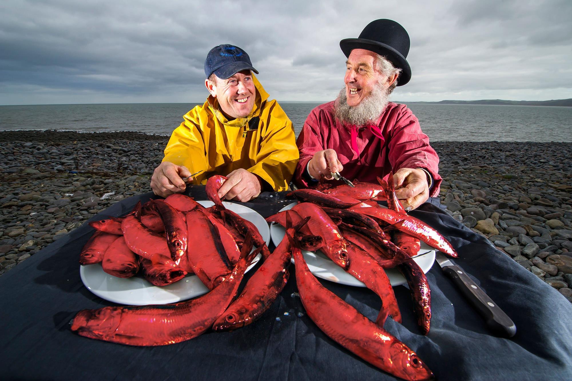 Red herrings: fish category report 2020 ...
