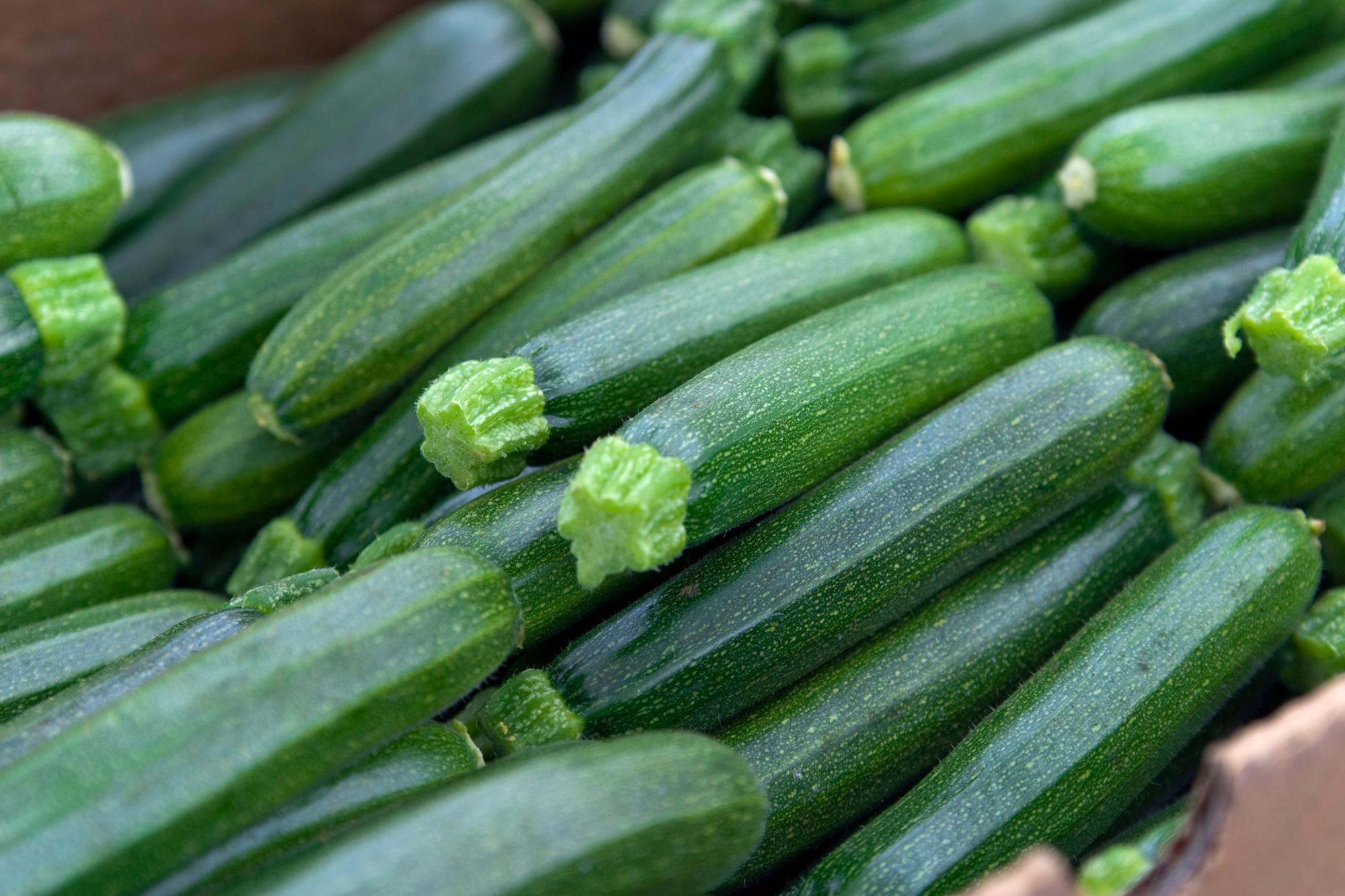 Courgettes