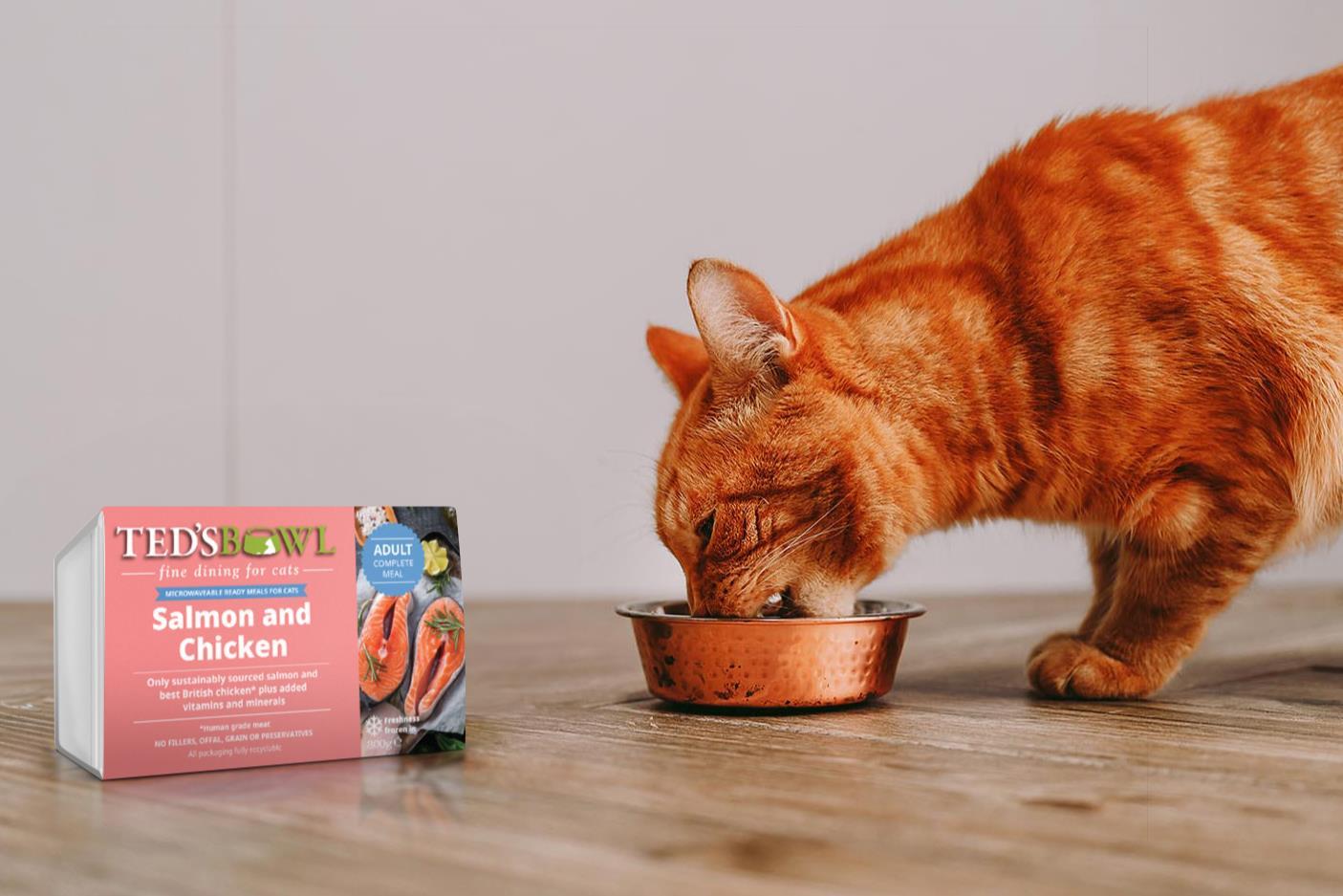 Petfood startup Ted s Bowl to debut frozen ready meals for cats