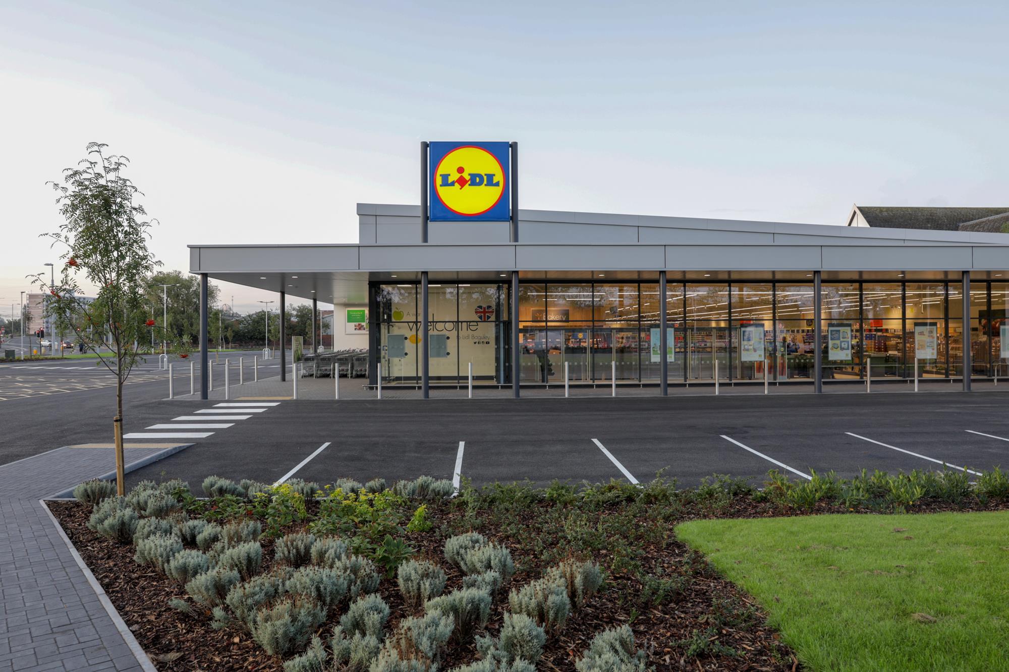 Lidl US Builds Sustainable Presence by Listening to Customers - Produce  Business