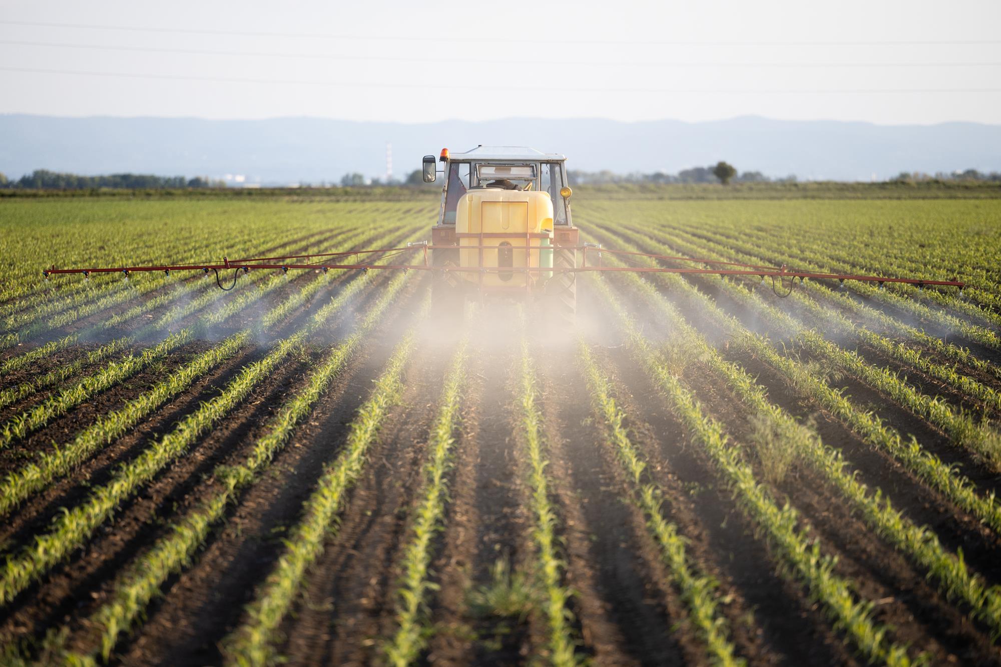 Glyphosate use in UK farming up 1,000% since 1990 | News | The Grocer