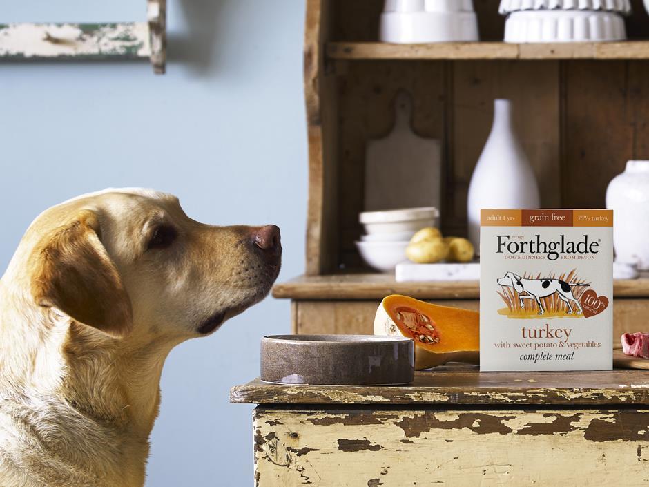 Forthglade dog best sale food morrisons