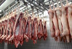 Meat hanging in abattoir