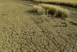 GettyImages-1309267434