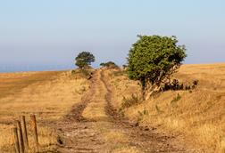 Drought Sussex heatwave farm climate field parched hot weather GettyImages-1000918954