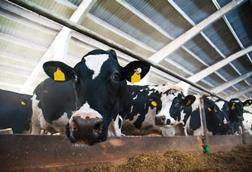 Tesco 'revolutionary' Chelveston animal feed site