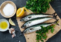 Fresh mackerel fish with ingredients to cook - stock photo