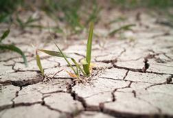 dry earth drought climate change