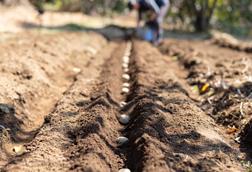 Organic farmer doing farm work. - stock photo