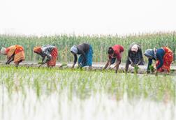 GettyImages-2033102984