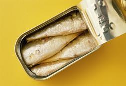 Sardines in a tin - Getty Images
