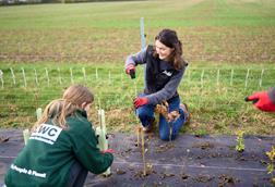 LWC x Asahi tree planting