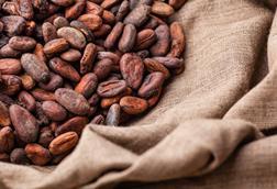 GettyImages-909499450