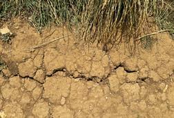 GettyImages-2225792773