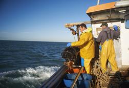 fisherman on a boat - getty