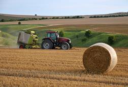 Harvest time - stock photo - Getty Images