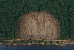 GettyImages-1447427569