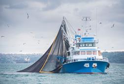 Fishing Trawler - stock photo