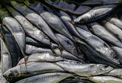 GettyImages-1146233239