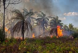 GettyImages-2164445220