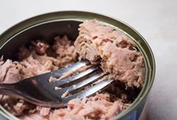 Tunafish in a Can With a Fork - stock photo