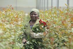 Rebecca Amoth who works on Shalimar Flower Farm in Naivasha, Kenya