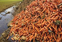 Food waste