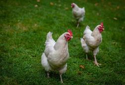 335935_gettyimages1339903788_351731