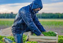 rain farm farmer worker weather GettyImages-1284909747