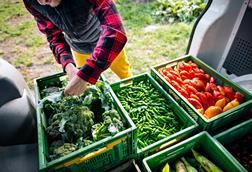 man with vegetables in van
