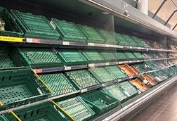 strawberry shortages in Tesco