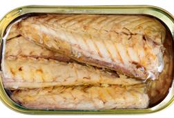 Fillets of mackerel in oil