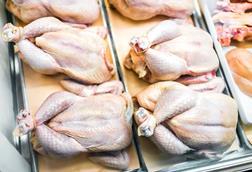 Raw whole chickens tied with string in butcher shop grocery store many uncooked skin closeup showing texture detail - stock photo