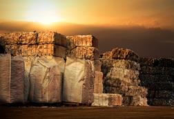 Recyling EPR extended producer responsibility GettyImages-500254845