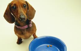 GettyImages-200396745-001