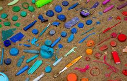 jasmin-sessler-HfgMyrPrLxI-unsplash