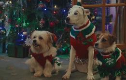 Tesco Christmas adverts 2025